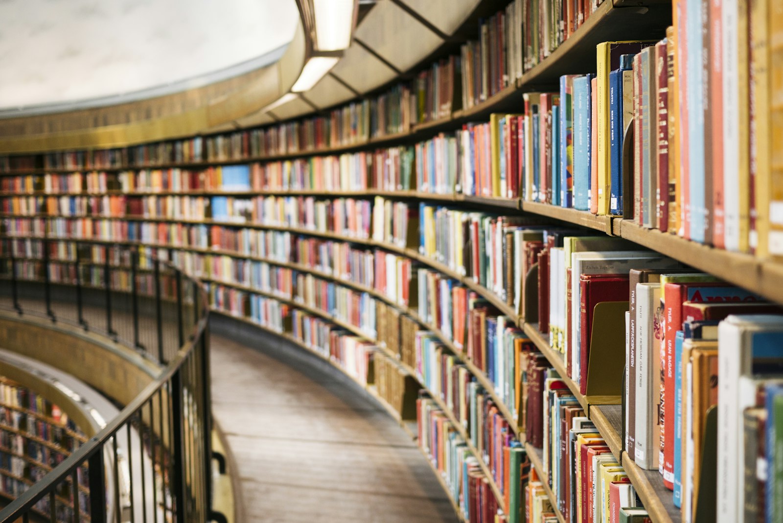 Estantería de una librería con luz natural lateral